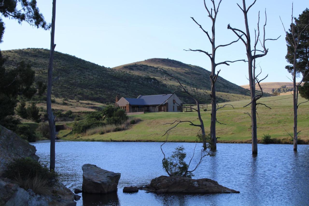 Wetlands Game Lodge Wakkerstroom Екстериор снимка