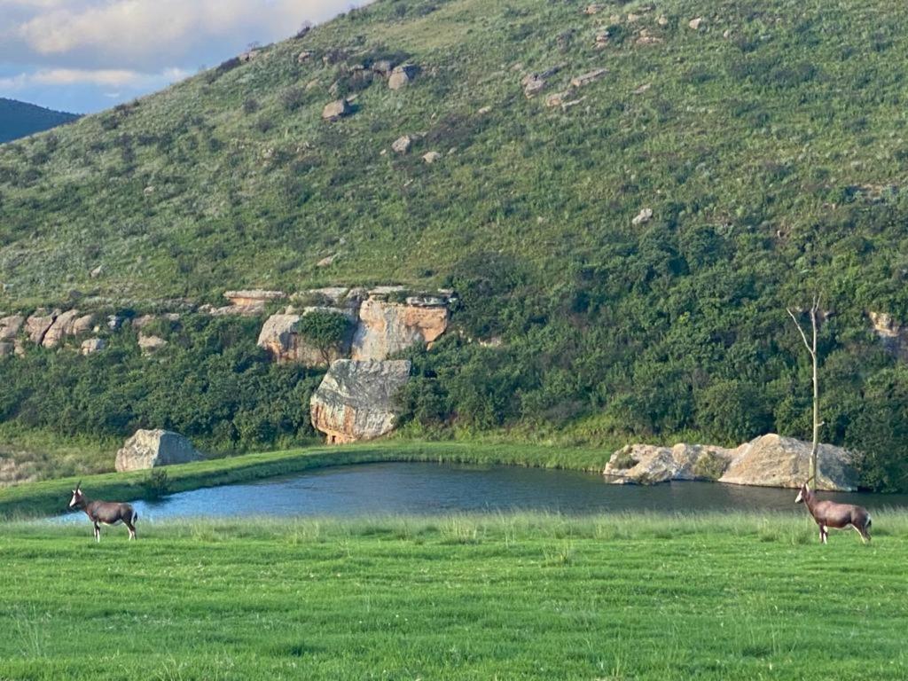 Wetlands Game Lodge Wakkerstroom Екстериор снимка