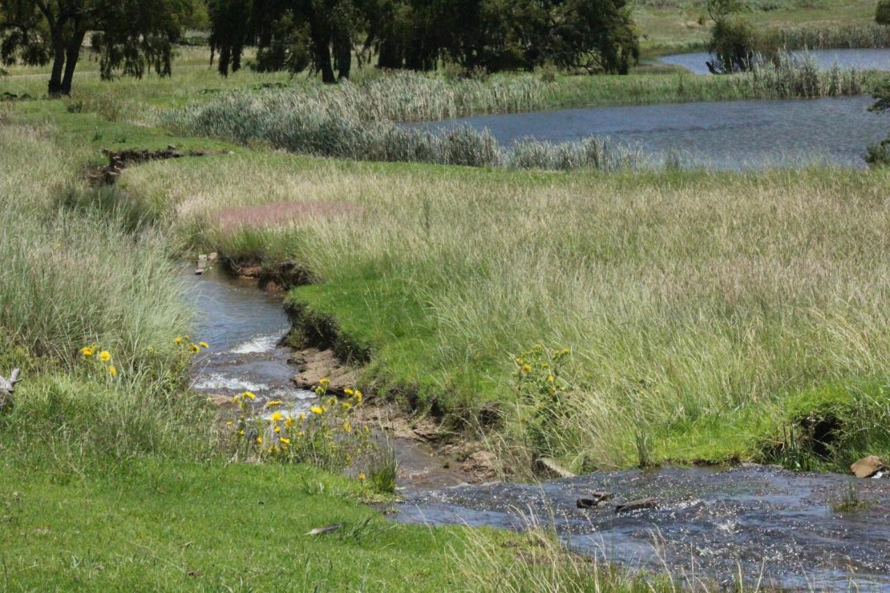 Wetlands Game Lodge Wakkerstroom Екстериор снимка