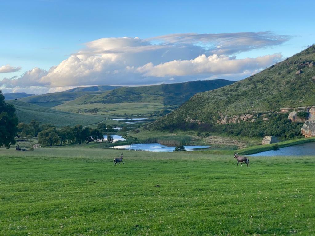 Wetlands Game Lodge Wakkerstroom Екстериор снимка