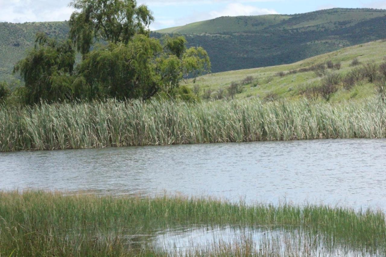 Wetlands Game Lodge Wakkerstroom Екстериор снимка