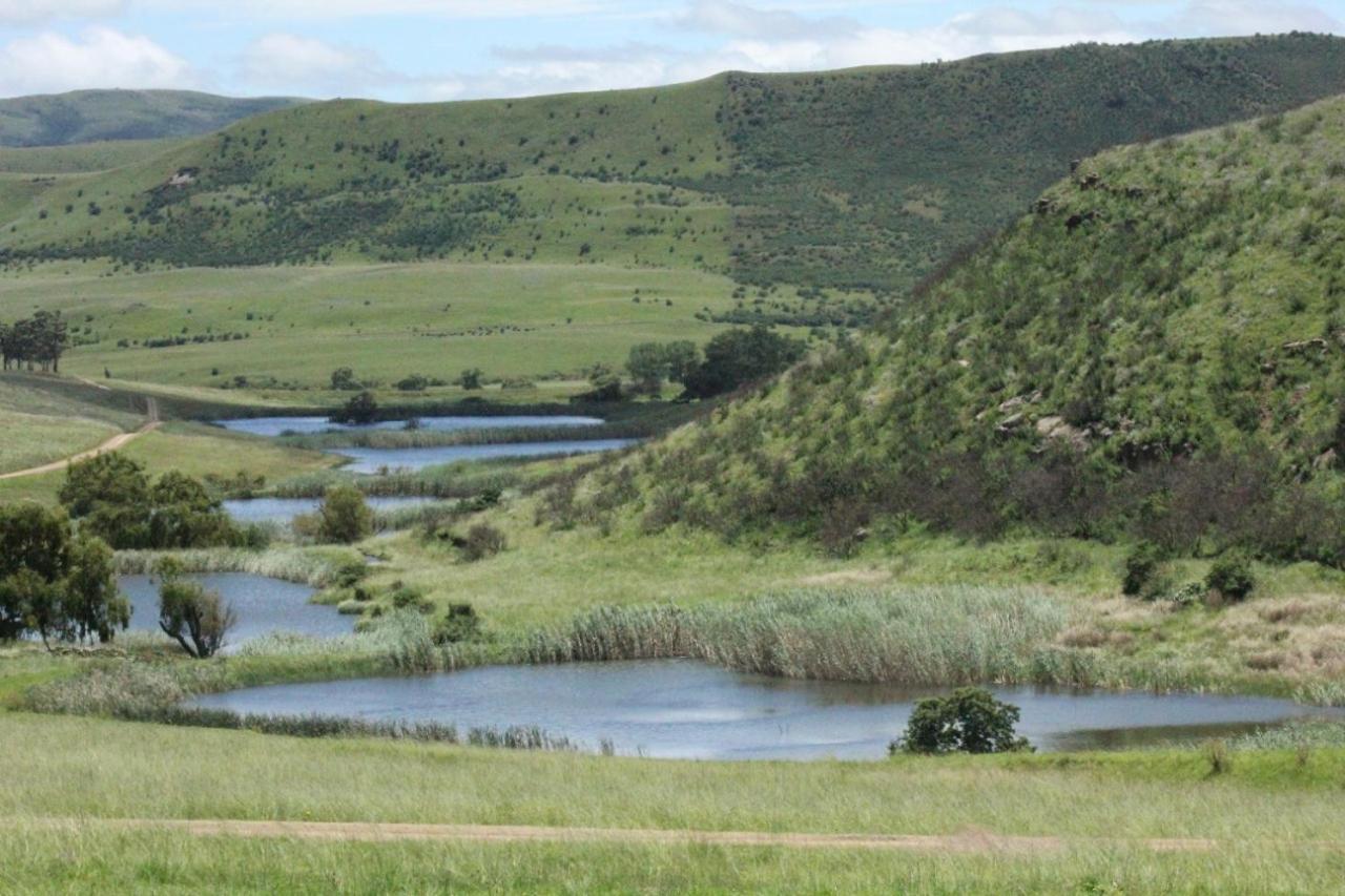 Wetlands Game Lodge Wakkerstroom Екстериор снимка
