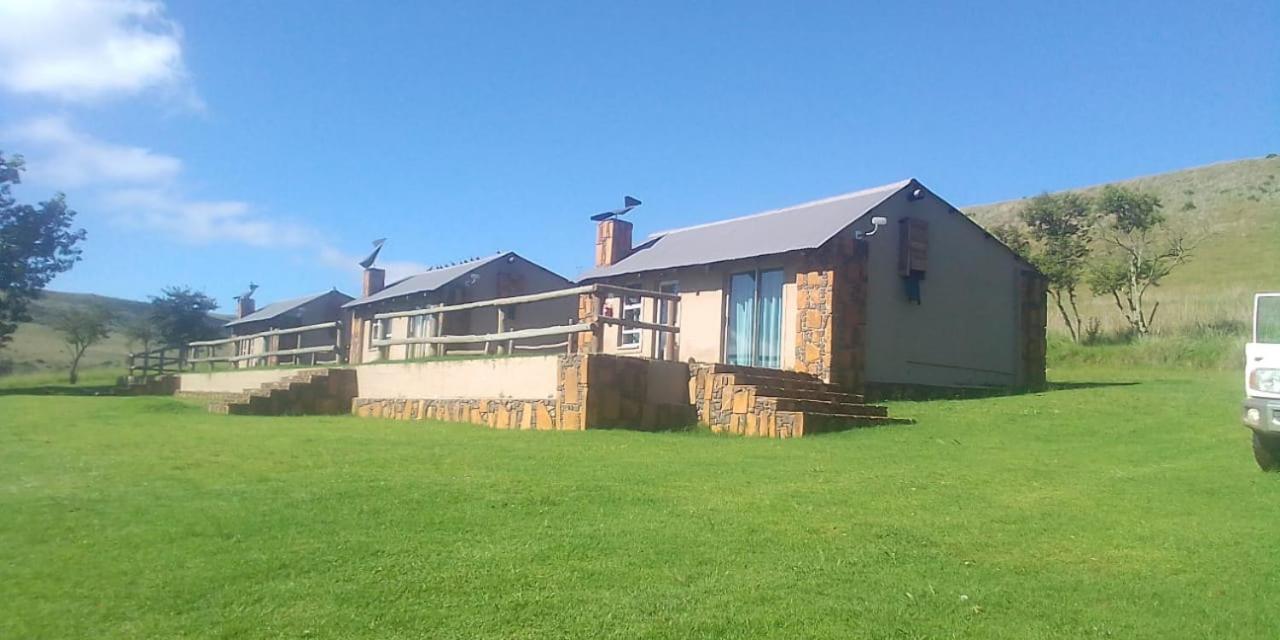 Wetlands Game Lodge Wakkerstroom Стая снимка